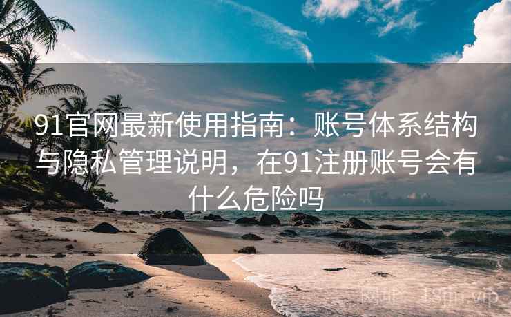 91官网最新使用指南：账号体系结构与隐私管理说明，在91注册账号会有什么危险吗