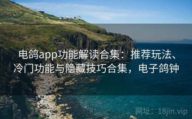 电鸽app功能解读合集：推荐玩法、冷门功能与隐藏技巧合集，电子鸽钟