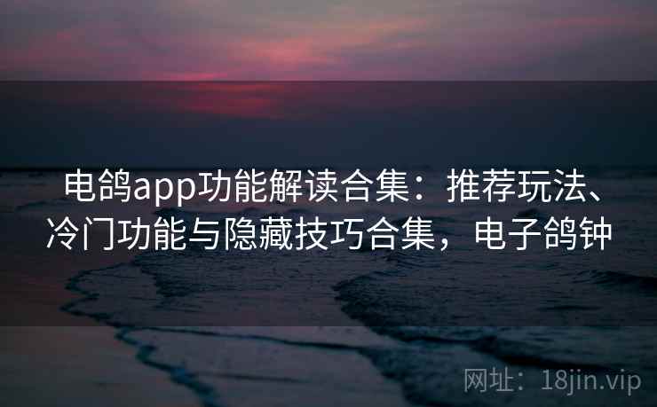 电鸽app功能解读合集：推荐玩法、冷门功能与隐藏技巧合集，电子鸽钟