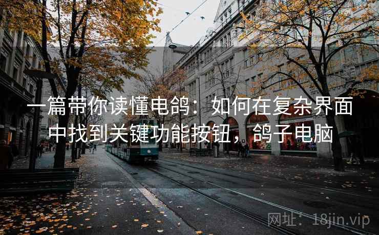 一篇带你读懂电鸽：如何在复杂界面中找到关键功能按钮，鸽子电脑