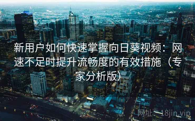 新用户如何快速掌握向日葵视频：网速不足时提升流畅度的有效措施（专家分析版）