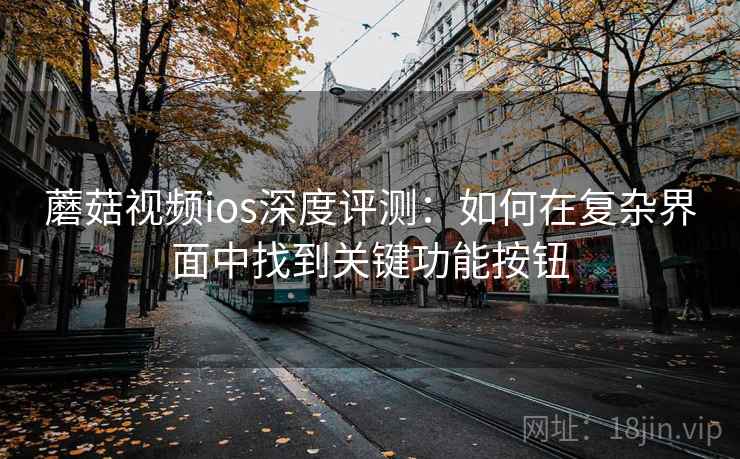 蘑菇视频ios深度评测：如何在复杂界面中找到关键功能按钮