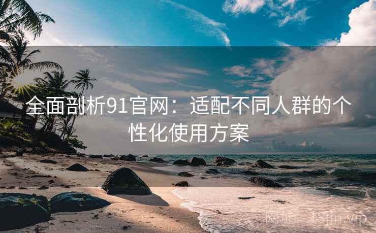 全面剖析91官网：适配不同人群的个性化使用方案