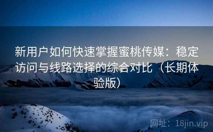 新用户如何快速掌握蜜桃传媒：稳定访问与线路选择的综合对比（长期体验版）