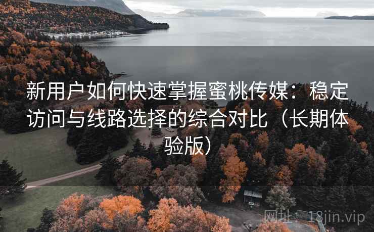 新用户如何快速掌握蜜桃传媒：稳定访问与线路选择的综合对比（长期体验版）