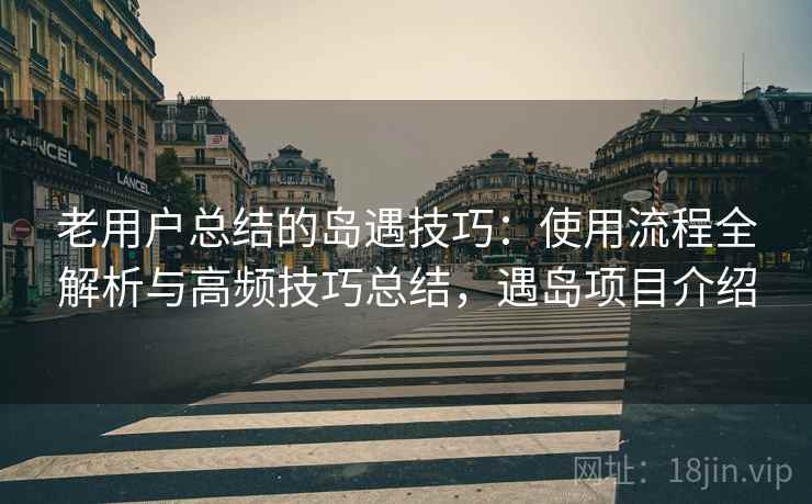 老用户总结的岛遇技巧：使用流程全解析与高频技巧总结，遇岛项目介绍