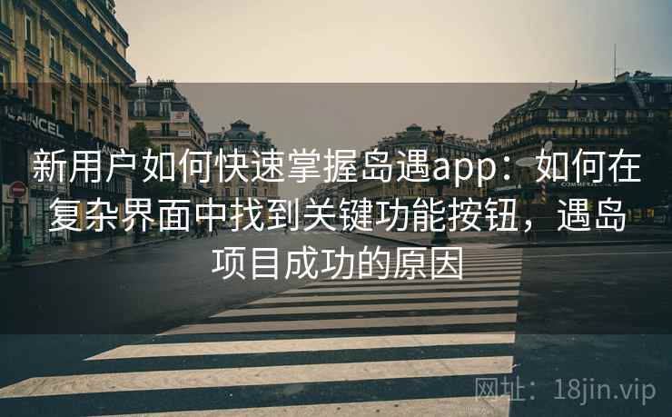 新用户如何快速掌握岛遇app：如何在复杂界面中找到关键功能按钮，遇岛项目成功的原因