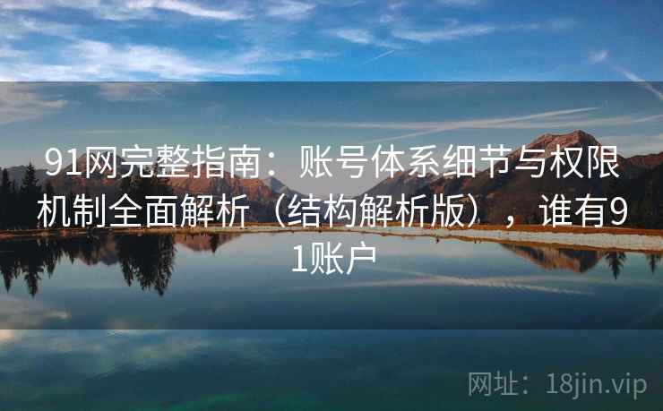 91网完整指南：账号体系细节与权限机制全面解析（结构解析版），谁有91账户