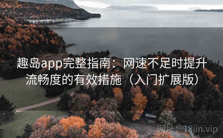 趣岛app完整指南：网速不足时提升流畅度的有效措施（入门扩展版）