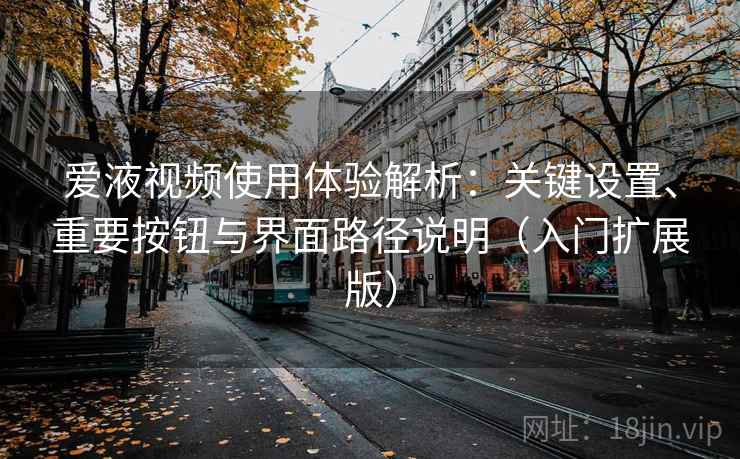 爱液视频使用体验解析:关键设置、重要按钮与界面路径说明(入门扩展版) 爱液视频使用体验解析:关键设置、重要按钮与界面路径说明(入门扩展版)