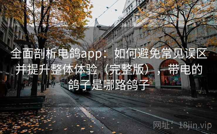 全面剖析电鸽app：如何避免常见误区并提升整体体验（完整版），带电的鸽子是哪路鸽子