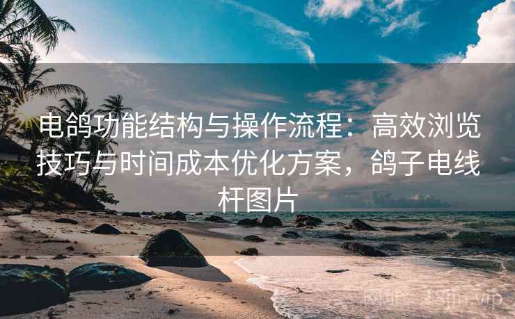 电鸽功能结构与操作流程：高效浏览技巧与时间成本优化方案，鸽子电线杆图片