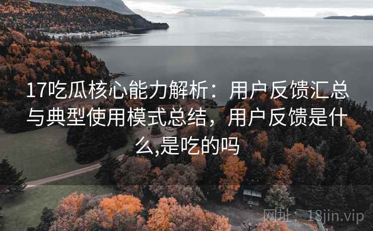 17吃瓜核心能力解析：用户反馈汇总与典型使用模式总结，用户反馈是什么,是吃的吗